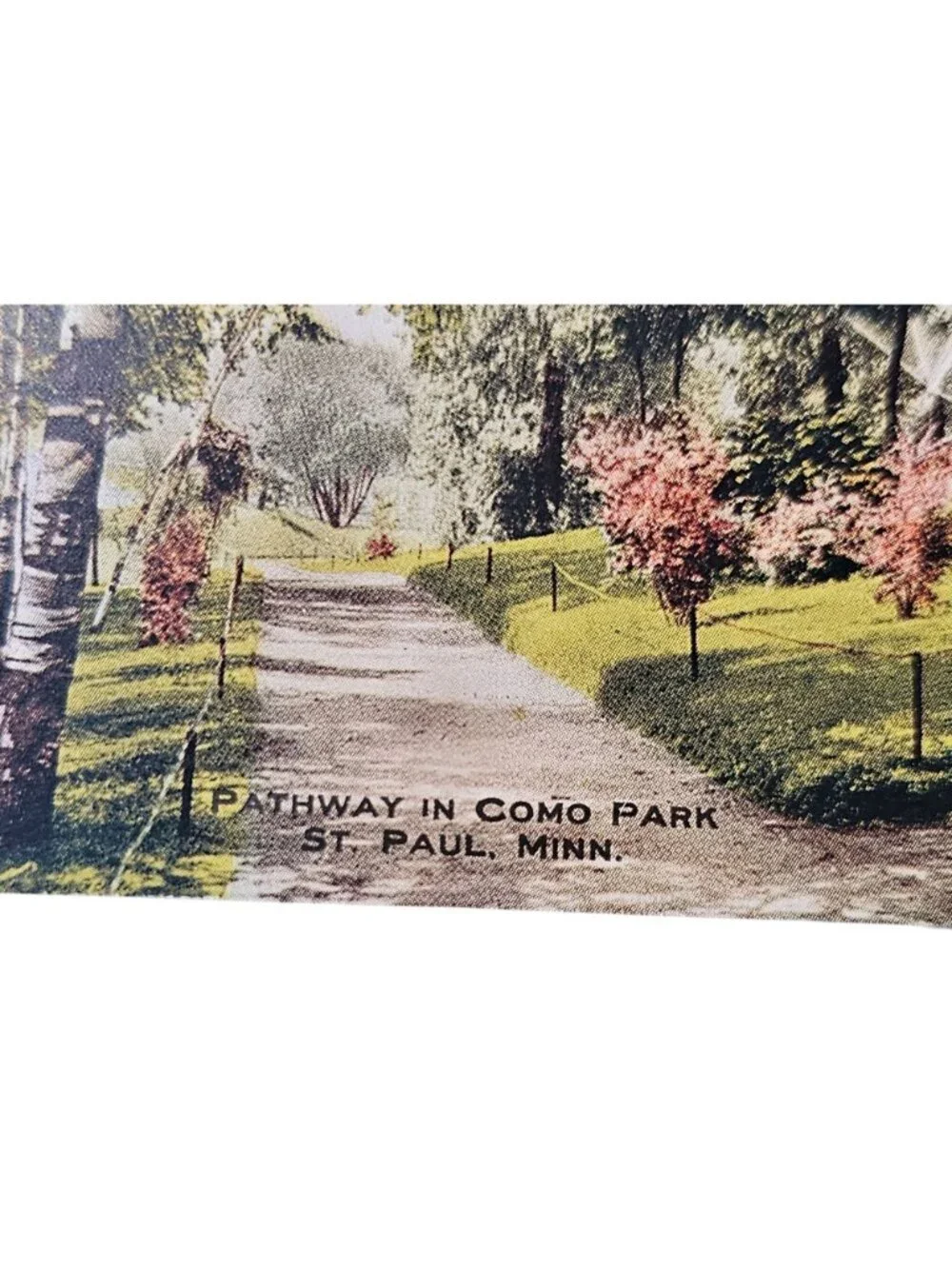 3 Minnesota Parks 1920s Postcards color Lithograph Cascade Como Conodan Park